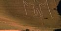 Long Man of Wilmington cut into the chalk