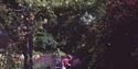 None