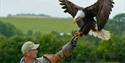 The Hawk Conservancy, total trust