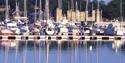 Photo of Upnor Castle from marina