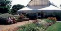 Ventnor Botanic Garden on the Isle of Wight