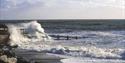 Waves