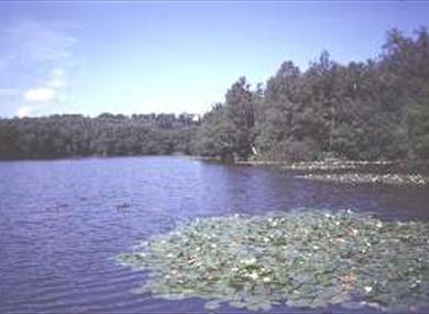 Slaugham