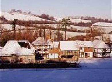 A Sussex Christmas at Weald & Downland