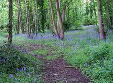 Oare Gunpowder Works County Park