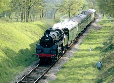 Special offers on attractions and things to do