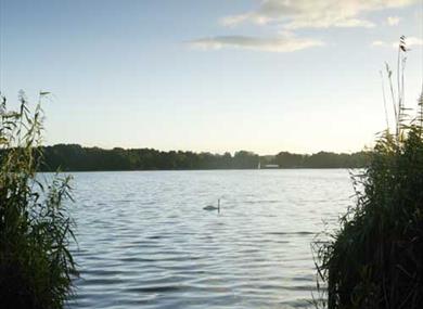 Frensham Ponds