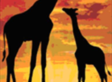 giraffes at sunset