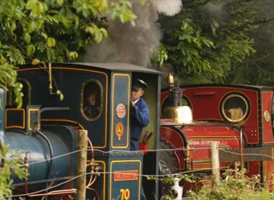 Hollycombe - Steam in the Country