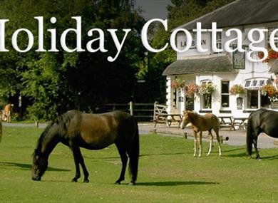 New Forest Living Holiday Cottages