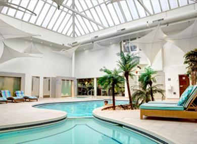 The Winchester Hotel, swimming pool view