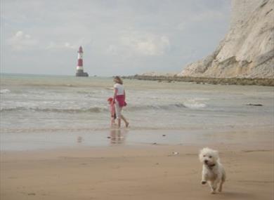 Beachy Head