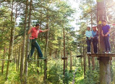 Go Ape in the South East