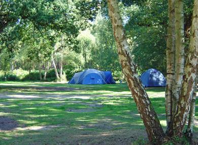 Wellington Country Park - Camping