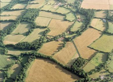 Billingshurst