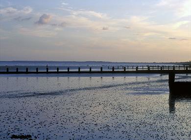 Sussex by the Sea