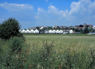 Rye