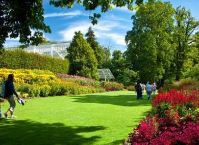 The Savill Garden's Herbaceous borders
