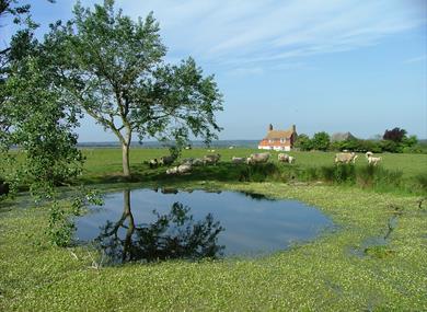 Coldharbour Cottage 