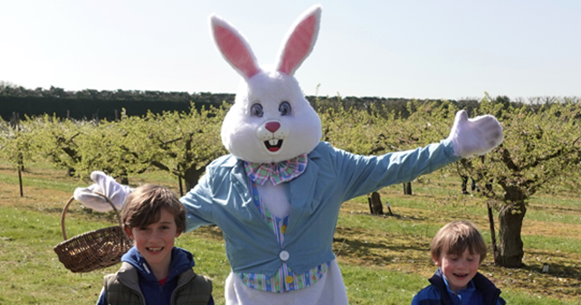 Easter Bunny at Brogdale Orchards