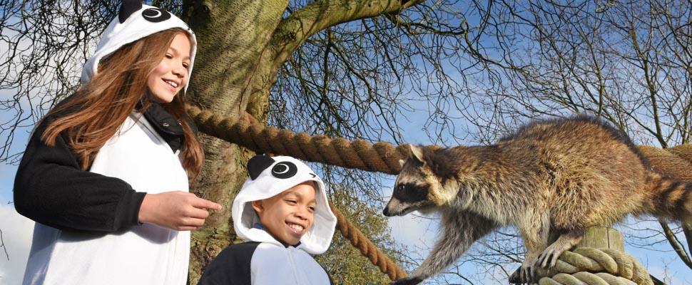 zoos-animal-parks-in-south-east-england