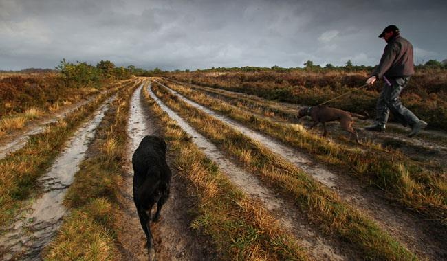 Ashdown Forest Towns Amp Villages In East Sussex Visit