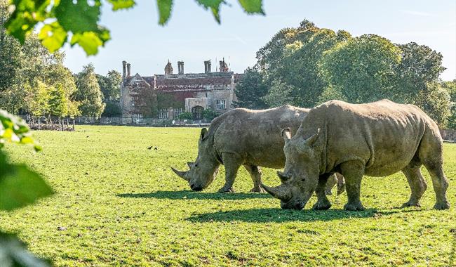Marwell Zoo Animal Collection Zoo In Winchester Winchester