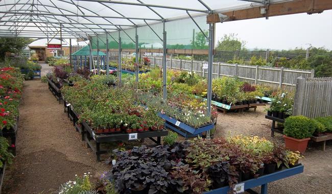 Stone Cross Garden Centre And Woodland Walk Garden Centre In
