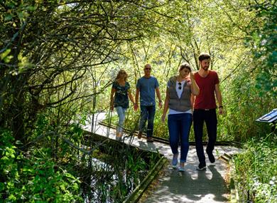 Arundel Wetland Centre - Nature Reserve in ARUNDEL, Arun - Visit South